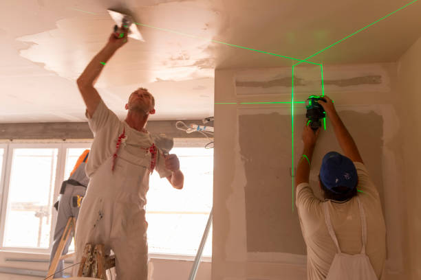 Best Mold Odor Removal Services  in Clearwater, SC